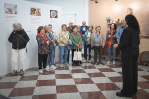 El Mes de Mayor inicia hoy visitas guiadas al Museo Abierto para conocer la exposición Los placeres de Augusta Emérita