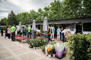 La primera edición del Mercado de las Flores que se está celebrando en el Paseo de Roma está teniendo una gran acogida