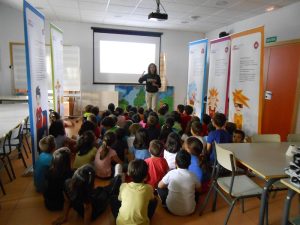 Bases para la adjudicación de ayudas para libros y material escolar para el curso 2015/2016