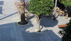 Finalizan los trabajos de pavimentación drenante en los alcorques de los árboles