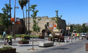 Comienzan los trabajos de pavimentación drenante en los alcorques de los árboles