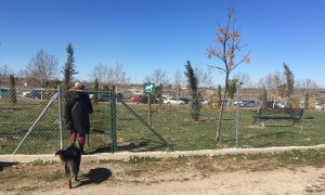 Terminada un nuevo área canina en Nueva Ciudad