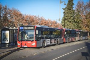El Ayuntamiento asumirá la bonificación del 100% de los bonos de transporte urbano de Mérida tras el rechazo ayer en el Congreso de PP, VOX y Junts a la subvención del transporte público