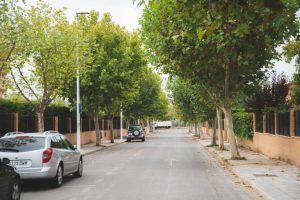 El Gobierno local colocará nuevo arbolado y reparará el acerado en decenas de calles de toda la ciudad