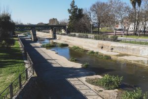 El lunes comienzan los trabajos de limpieza del cauce del Albarregas desde San Juan hasta la desembocadura del Guadiana