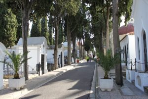 Adjudicada la construcción de 424 nichos y la mejora de los aseos del Cementerio Municipal
