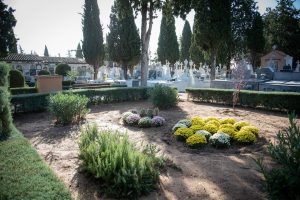 El Cementerio de Mérida recibe estos días a miles de personas con motivo de la festividad de Todos los Santos y los Difuntos y para el que el ayuntamiento ha dispuesto todos los servicios necesarios