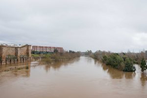 Mérida solicitará al Gobierno la declaración de Zona Catastrófica para hacer frente a los graves daños ocasionados por el temporal