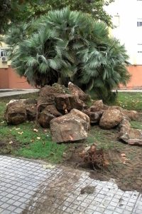 Parques y Jardines está realizando el destoconado de árboles en la zona Urban