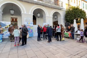 La Plataforma del Voluntariado, celebrará el 4 de diciembre dos actos en la plaza de España: la celebración del Día de las Personas con Discapacidad y el Día Internacional del Voluntariado