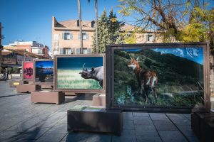‘De Polo a Polo’, un viaje fotográfico por los últimos paraísos naturales del planeta