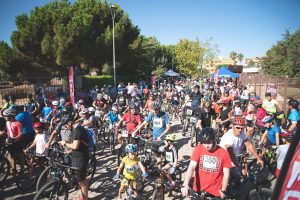 El Día de la Bicicleta se celebrará el 4 de septiembre por la tarde con el mismo recorrido