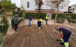 La delegación de Educación convoca a los colegios a adherirse al Proyecto de Huertos Escolares