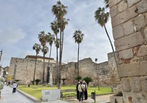 La Policía Local atiende 256 llamadas e incidentes ocasionados por el temporal