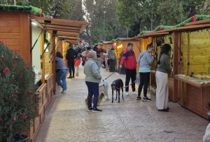 El Mercado Navideño de Artesanía ofrece hoy viernes en el Parque López de Ayala diferentes actividades como talleres y la actuación musical del grupo `Impacto Show´