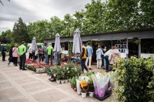 El Mercado de las Flores llenará a partir del lunes el paseo de Roma con más de 200 variedades de plantas en una cita que este año amplía sus casetas y productos