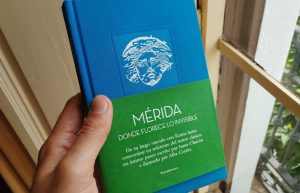 Mérida junto con el Grupo de Ciudades Patrimonio de la Humanidad presentan la Colección de 15 libros escritos e ilustrados por firmas de prestigio de la cultura de España