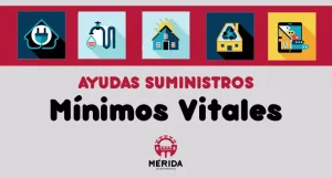 Ayudas para Suministros de Mínimos Vitales 2026