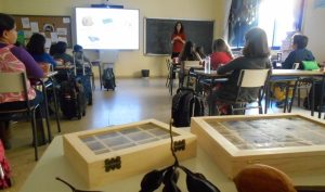 Unos 224 escolares se benefician de la actividad ‘Pequeños naturalistas’, en su segunda edición
