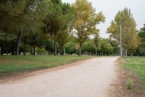El Ayuntamiento implementa un plan de mejoras en los riegos de las zonas verdes de la ciudad