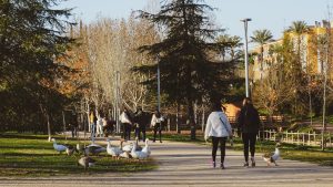 El ayuntamiento licita las mejoras de los jardines y caminos del Guadiana y Proserpina por 990.882 euros y un plazo de ejecución de tres meses
