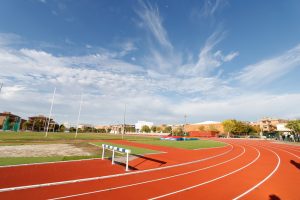 Adjudicada la construcción del almacén de materiales en el recinto de la Pista de Atletismo del Diocles