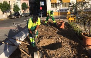 Los planes de Empleo Social y Experiencia realizarán un total de 239 contrataciones