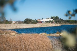 Properpina acoge este fin de semana la campaña de sensibilización “Paisajes Verdes” con numerosas actividades