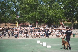 La Unidad Canina de la Policía Local participa en una exhibición en el colegio de las Josefinas de Mérida junto a miembros de la unidad canina de Almendralejo