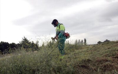 El Ayuntamiento recuerda a los propietarios de solares, parcelas y otros terrenos que tienen el deber de realizar labores de desbroce, limpieza y adecentamiento