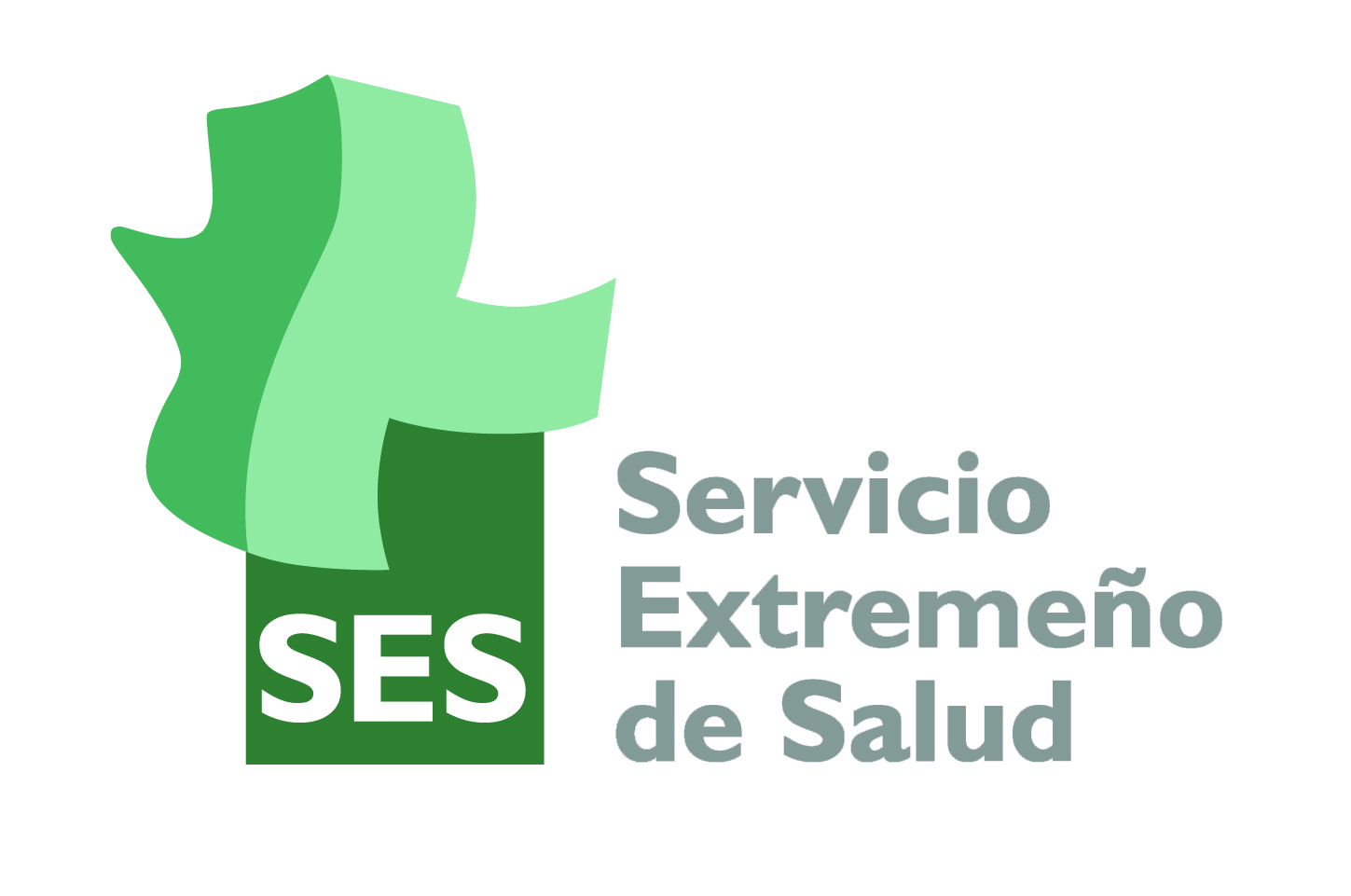 Portal Servicio Extremeño de Salud